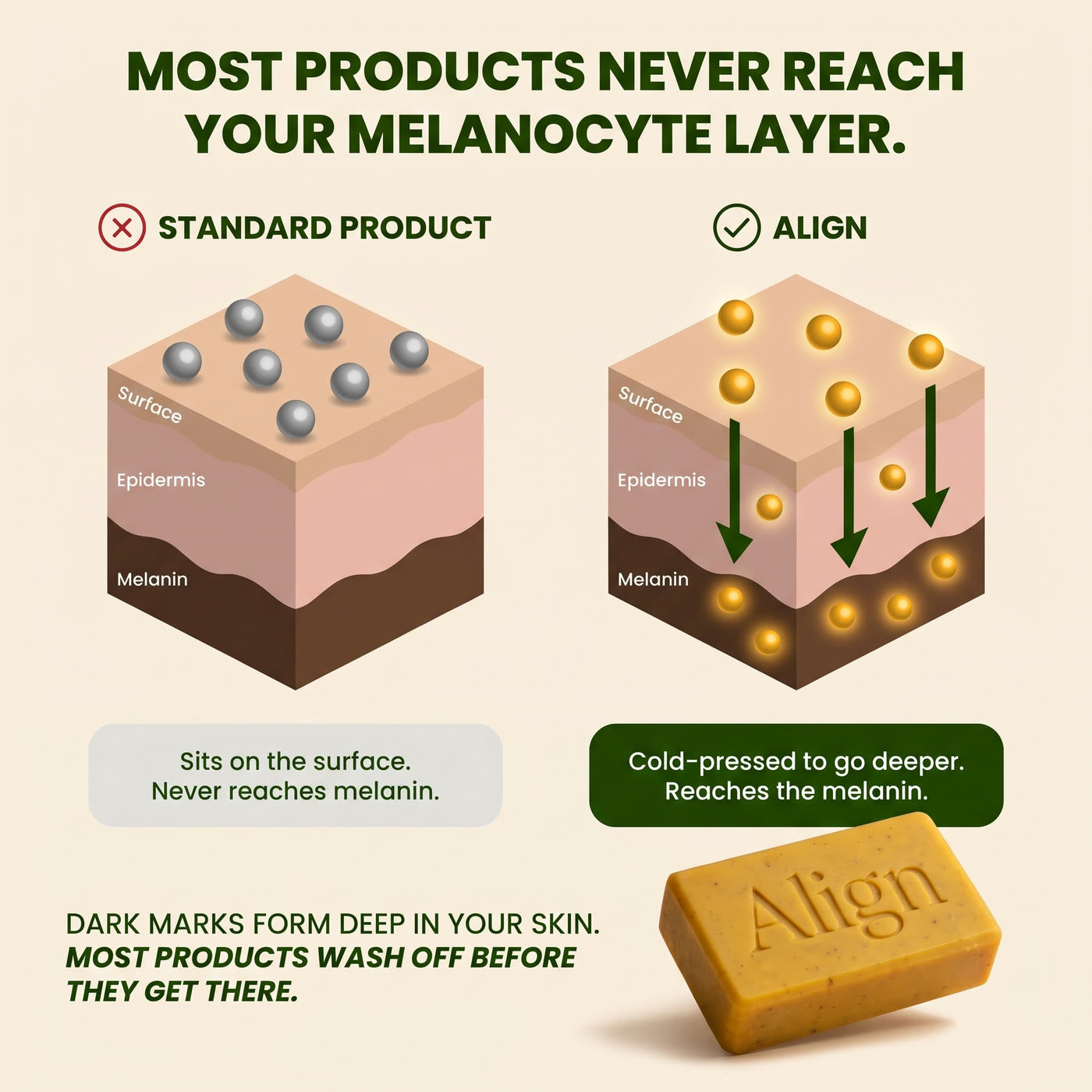 Most products never reach the melanocyte layer: a standard product against the Align turmeric bar